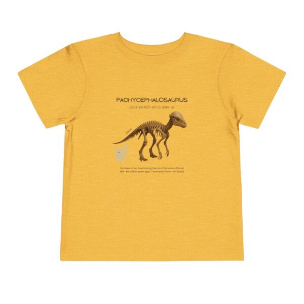 Pachycephalosaurus Fossil Fun Toddler T-Shirt | Dinosaur Paleontology Tee for Kids | STEM Learning Shirt - Image 25